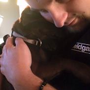 Blanding af racer Luna W. V.