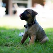 Blanding af racer Elliot <3