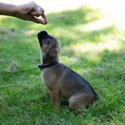 Blanding af racer Elliot <3