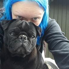 Mops Topper