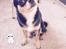 Chihuahua High Fly Charming Beast