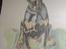 Dobermann MALKIN