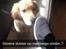 Golden retriever Carlo - tjah.... Carlo 17 uger