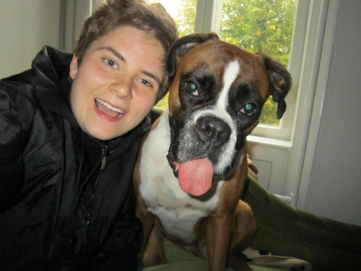 Boxer Molly billede 25