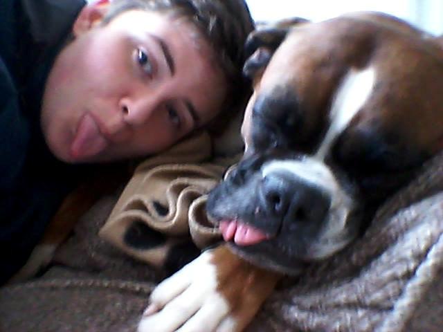 Boxer Molly billede 23