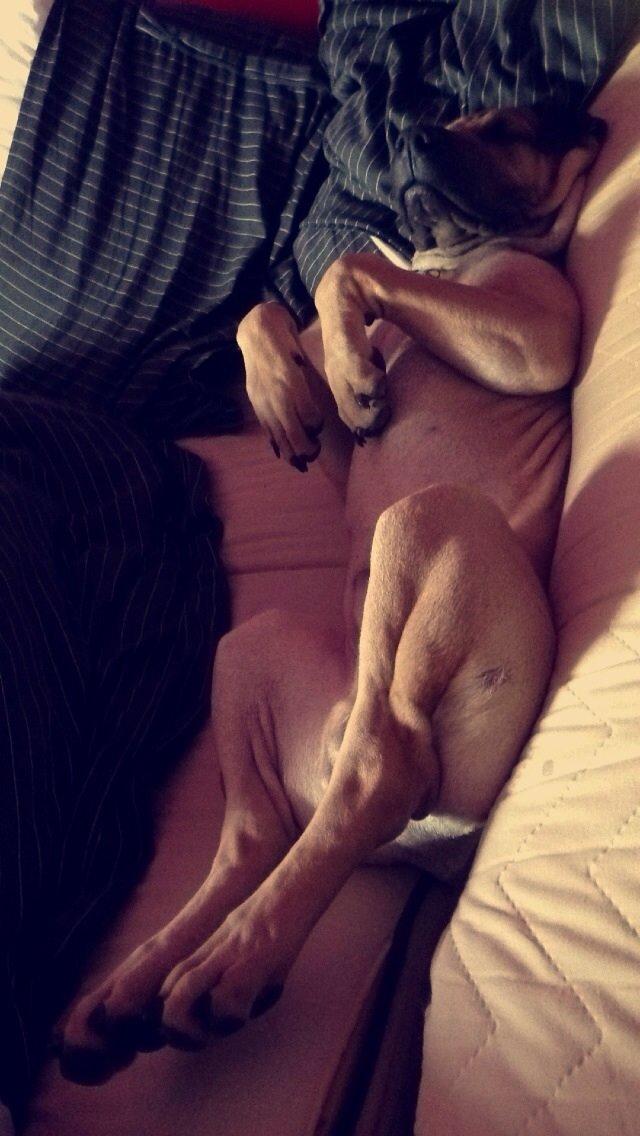 Blanding af racer Cody billede 23