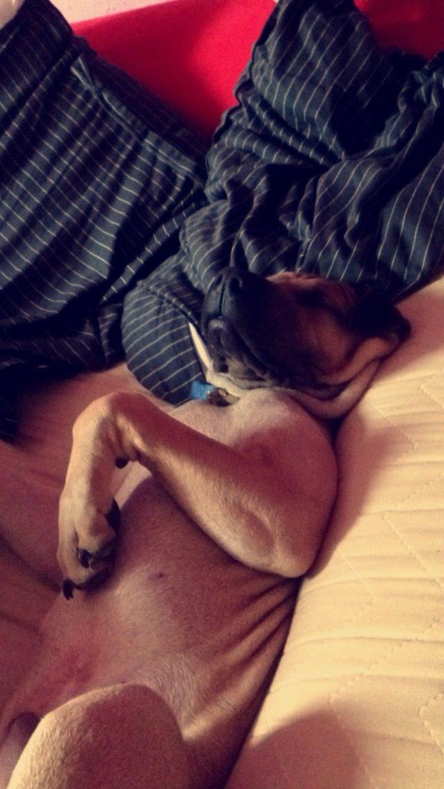 Blanding af racer Cody billede 24