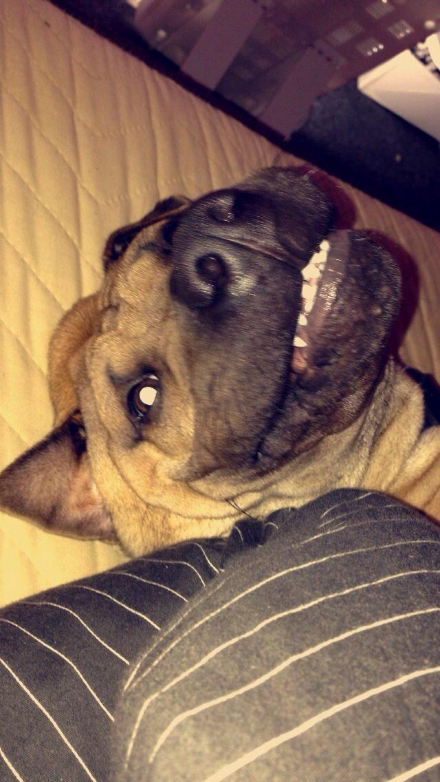 Blanding af racer Cody billede 28