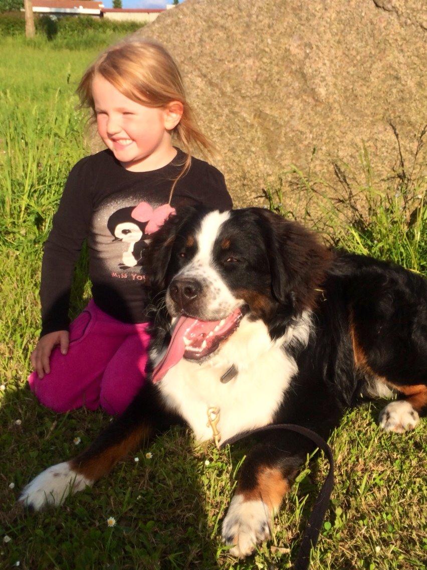 Blanding af racer Baloo billede 7