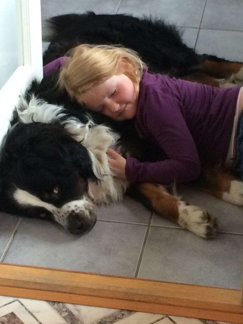 Blanding af racer Baloo billede 10