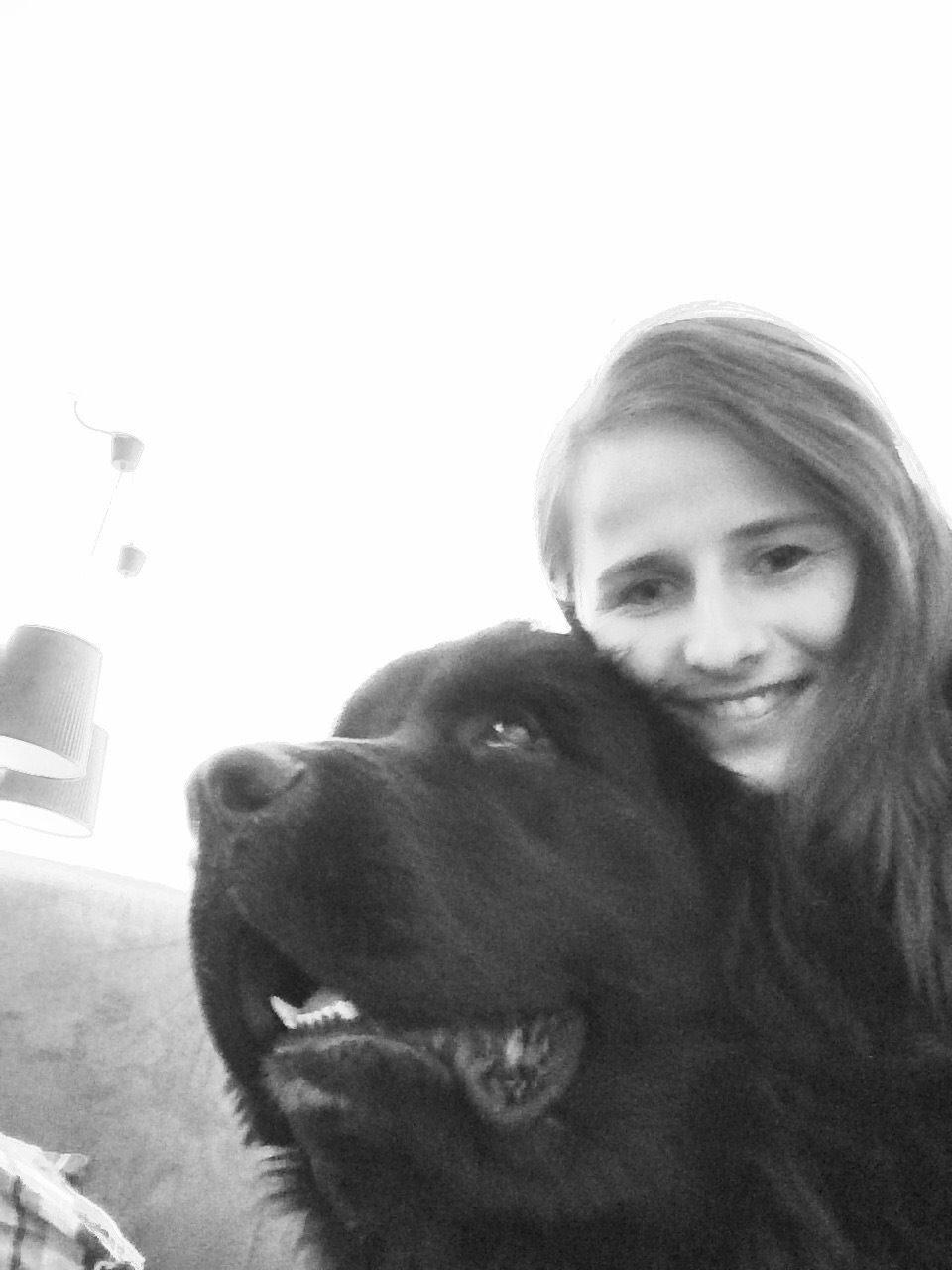 Newfoundlænder Lucas billede 33