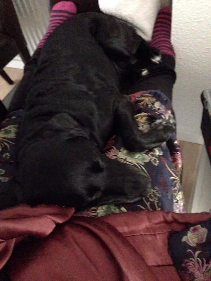 Blanding af racer Maya billede 2