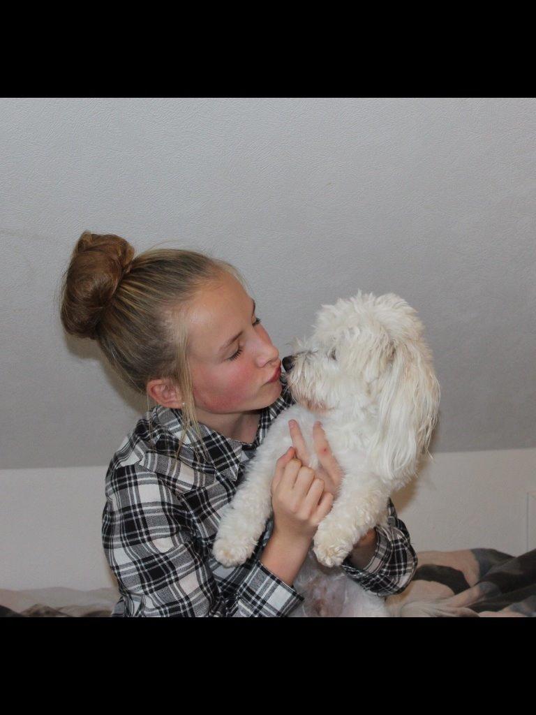 Coton de tulear Balou billede 11