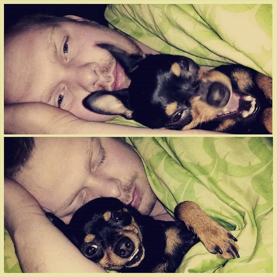 Blanding af racer Ninja *pivdyr* billede 6