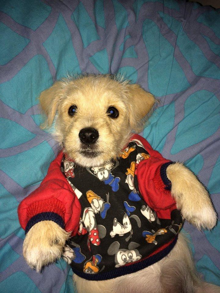 Blanding af racer Aya - Don't ask... billede 8