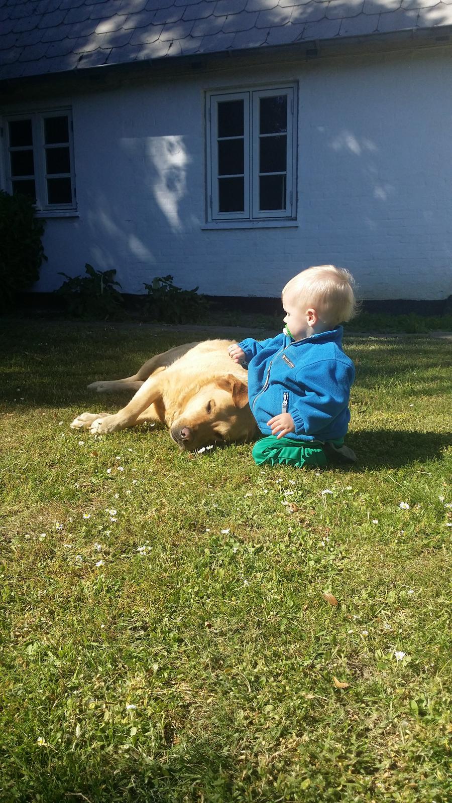 Blanding af racer Diego  - min søn og Diego :) billede 11