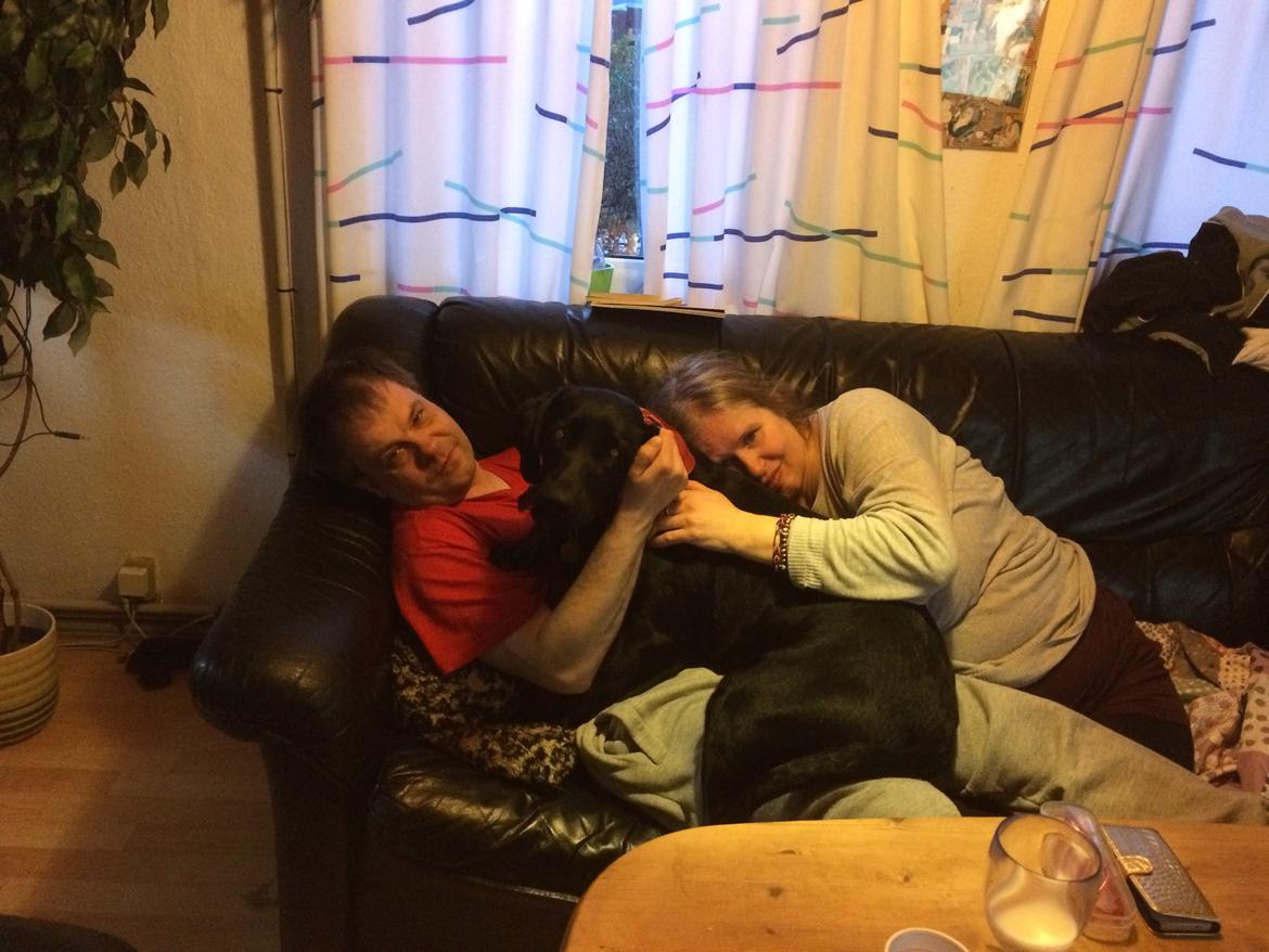 Blanding af racer Trixie - Nu har vi så fået besøg fra Norge og her har jeg plasseret mig midt i mellem dem billede 26