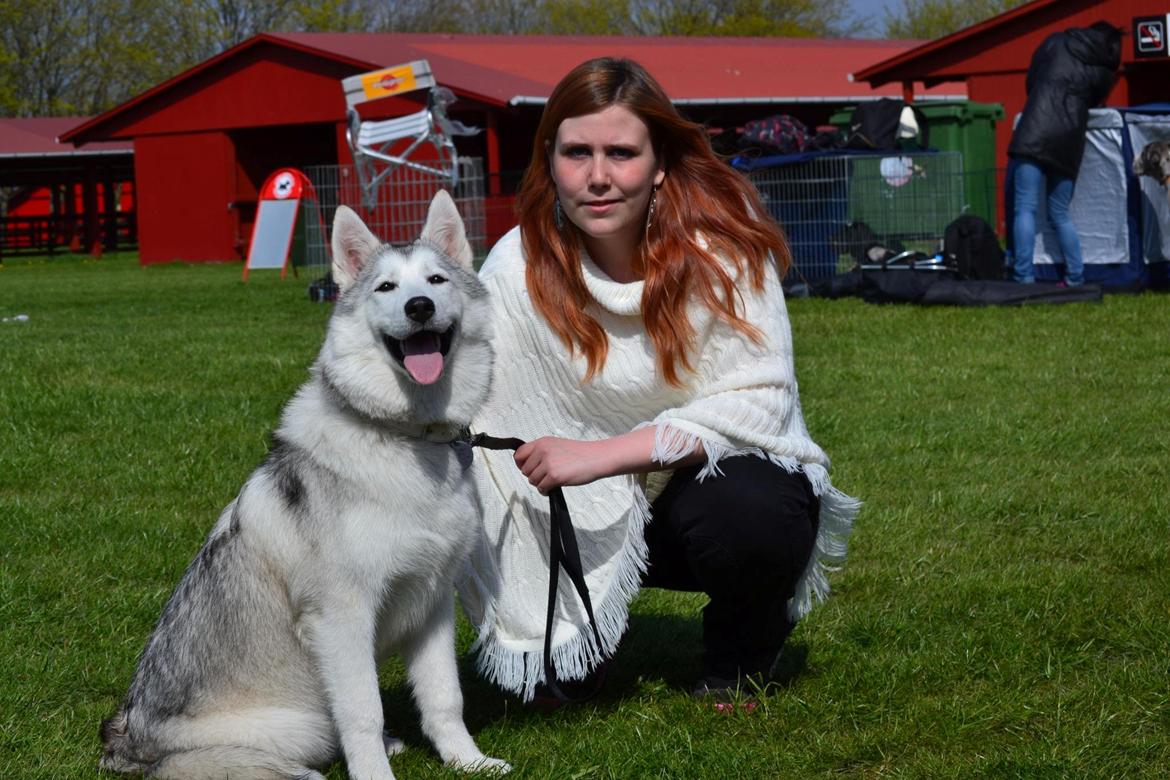 Blanding af racer Aniu billede 28