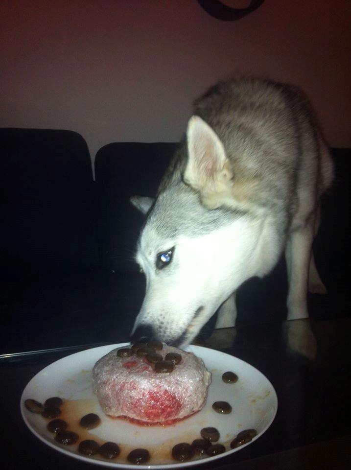 Blanding af racer Aniu billede 32