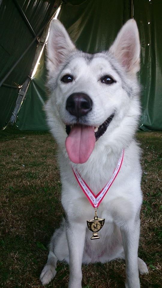 Blanding af racer Aniu billede 39