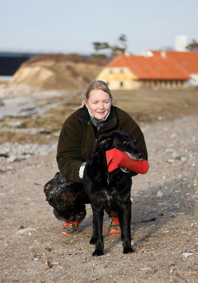 Blanding af racer Balder Himmelhund billede 24