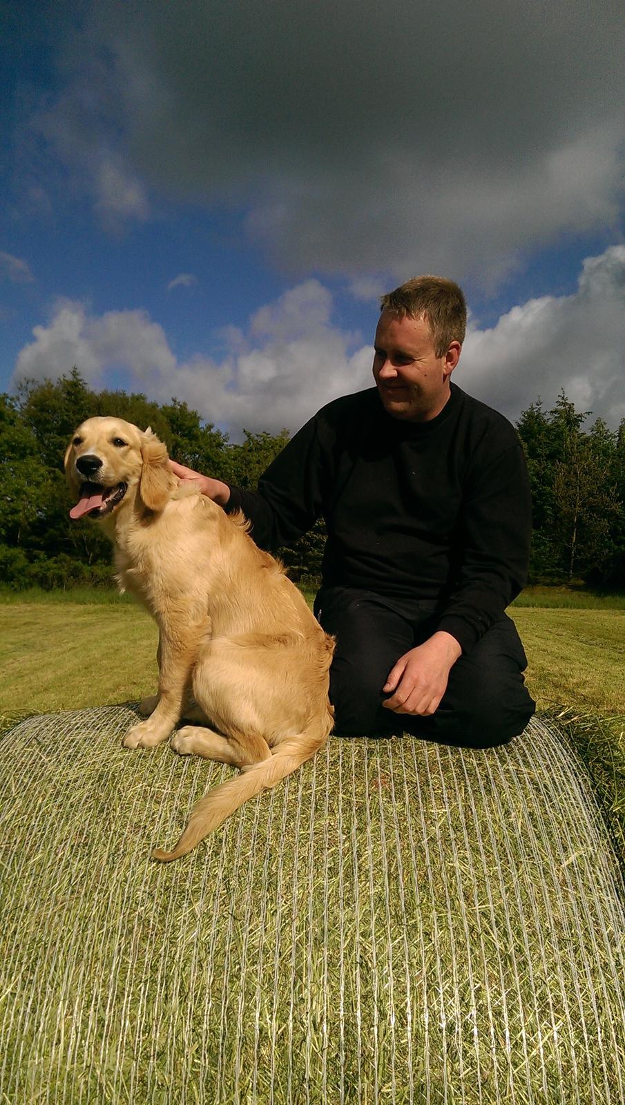 Golden retriever Konrad billede 32