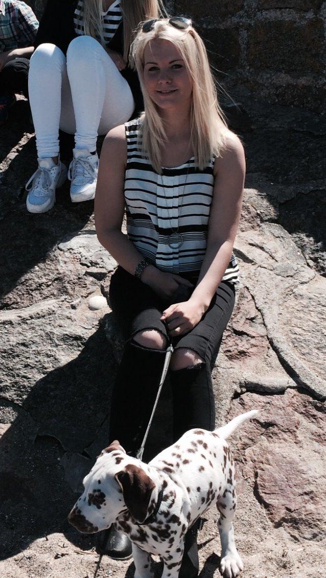 Dalmatiner Cody billede 22