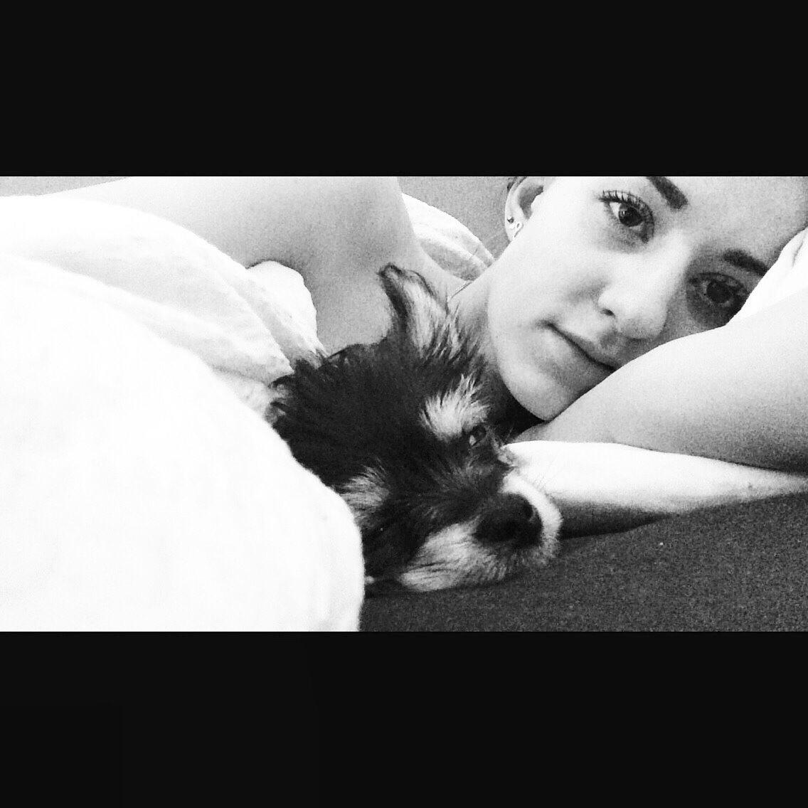 Blanding af racer Buddy billede 10