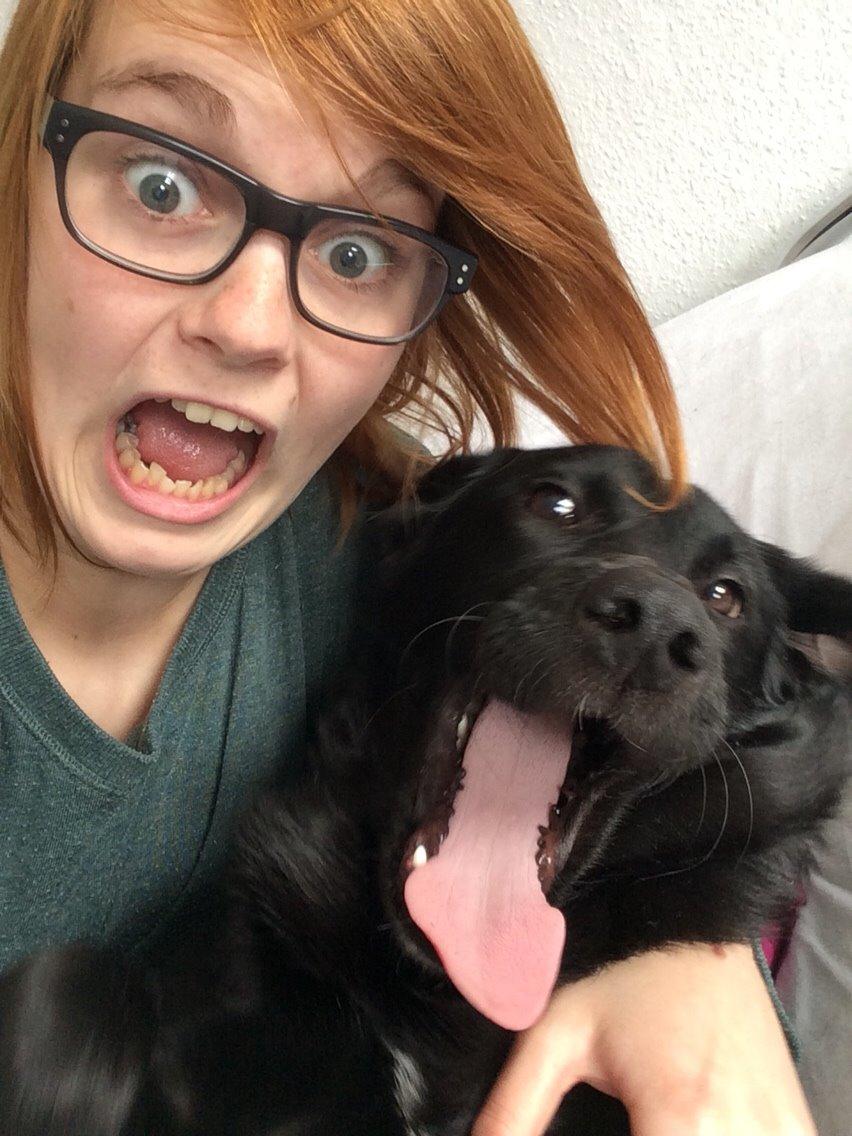 Blanding af racer Bella billede 26