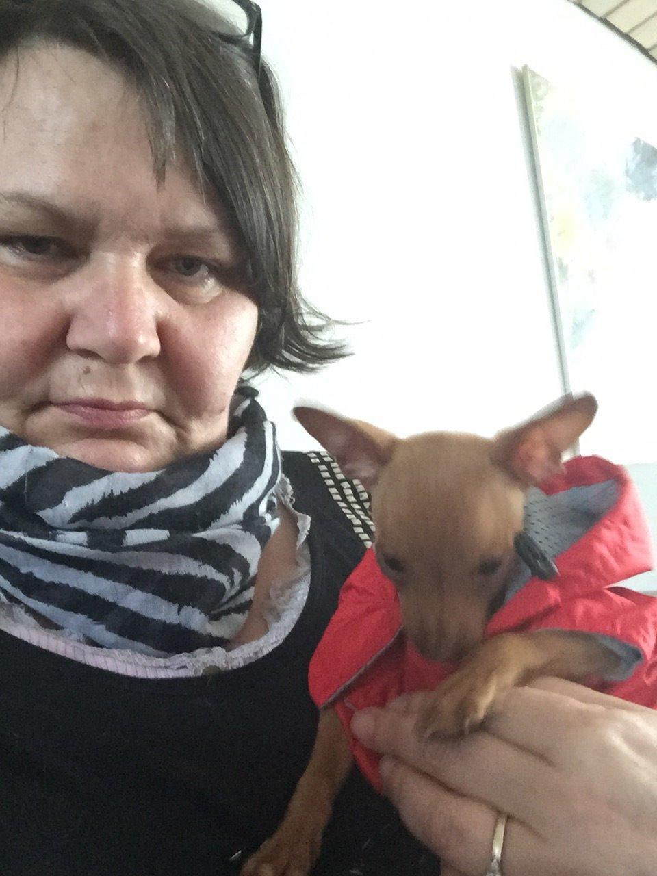 Prazsky krysarik Mimmi billede 9