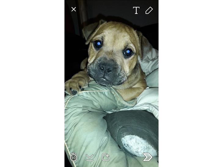 {{currentPhoto.altText}} billede {{currentPhoto.number}}