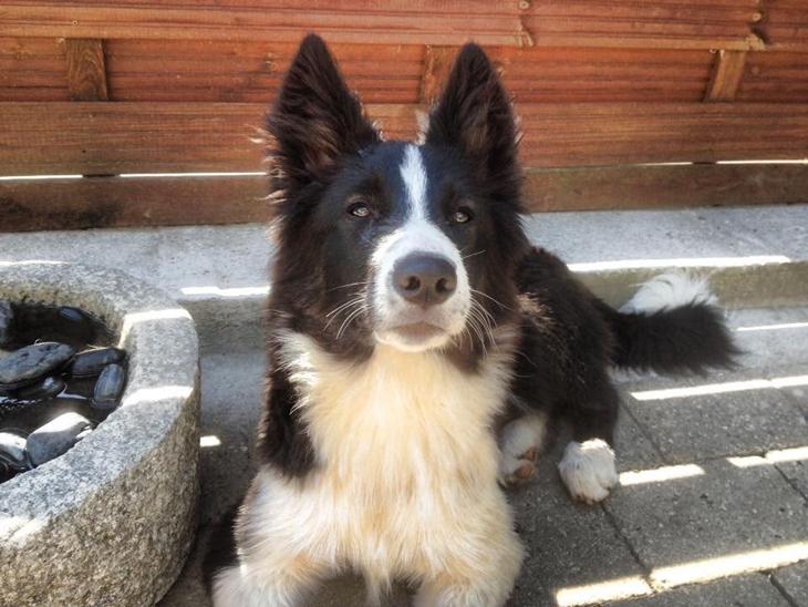 {{currentPhoto.altText}} billede {{currentPhoto.number}}