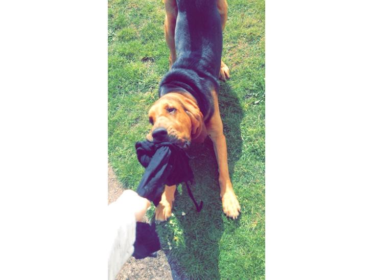 {{currentPhoto.altText}} billede {{currentPhoto.number}}