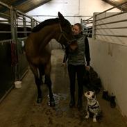 Blanding af racer Senju 