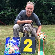 Olde english bulldogge GroovyBulls Marylin Monroe (Amiee)