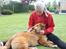 Nova scotia duck tolling retriever Marley - Ej, det er bedre at blive nusset :-)
