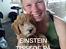 Blanding af racer Goldendoodle (Navn: Einstein)