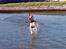 Pointer Oksby Lucca - August 2015. Flapører og tungen ude af munden - yndig dame :D