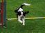 Cavalier king charles spaniel Martha