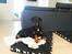 Dobermann Raphaels Fleur R.I.P <3