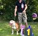 Olde english bulldogge Angeleyes Adriano (Arnold)