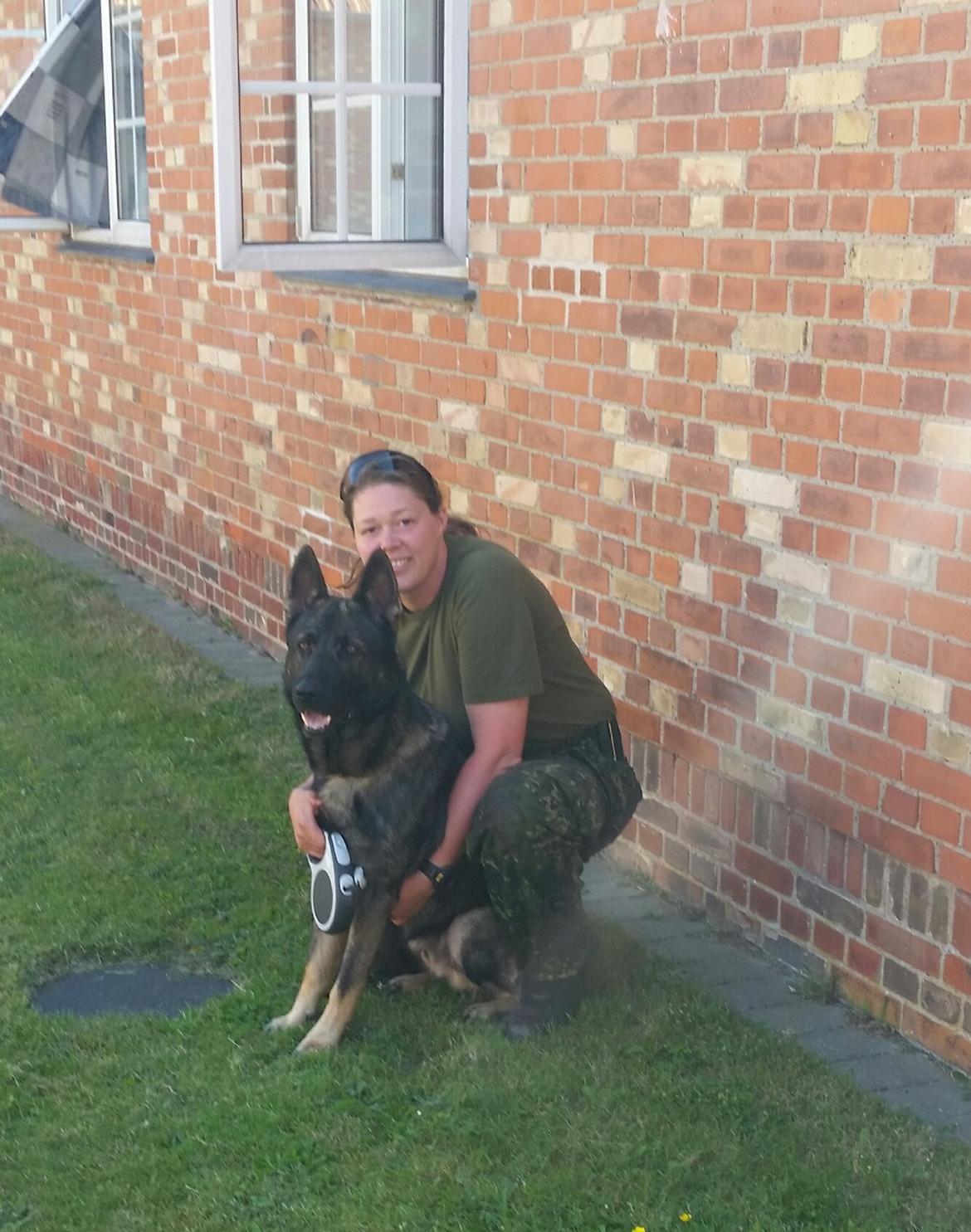 Schæferhund Jabina Fido billede 1