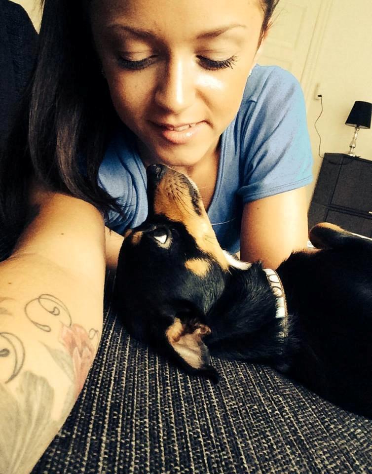 Blanding af racer Balou. - Min kærlighed til mine hunde kan ikke beskrives med ord <3 billede 25