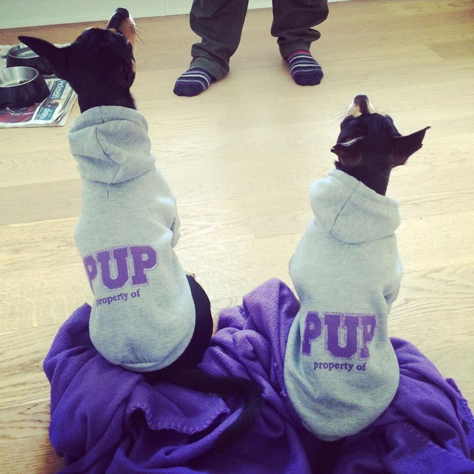 Blanding af racer Balou. - Så fik de trøjer af deres søde faster. De er lidt seje :D billede 22