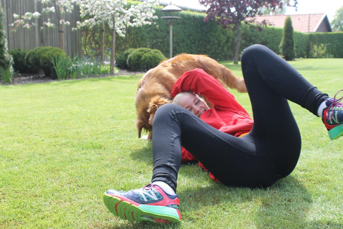 Nova scotia duck tolling retriever Marley - Igang med at tæske sin mor ;-) billede 15