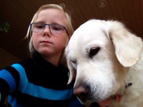 Golden retriever R.I.P Bjørslev's Cameron Diaz/silke billede 6