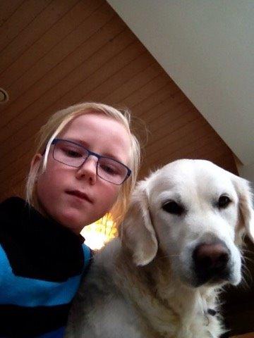 Golden retriever R.I.P Bjørslev's Cameron Diaz/silke billede 7