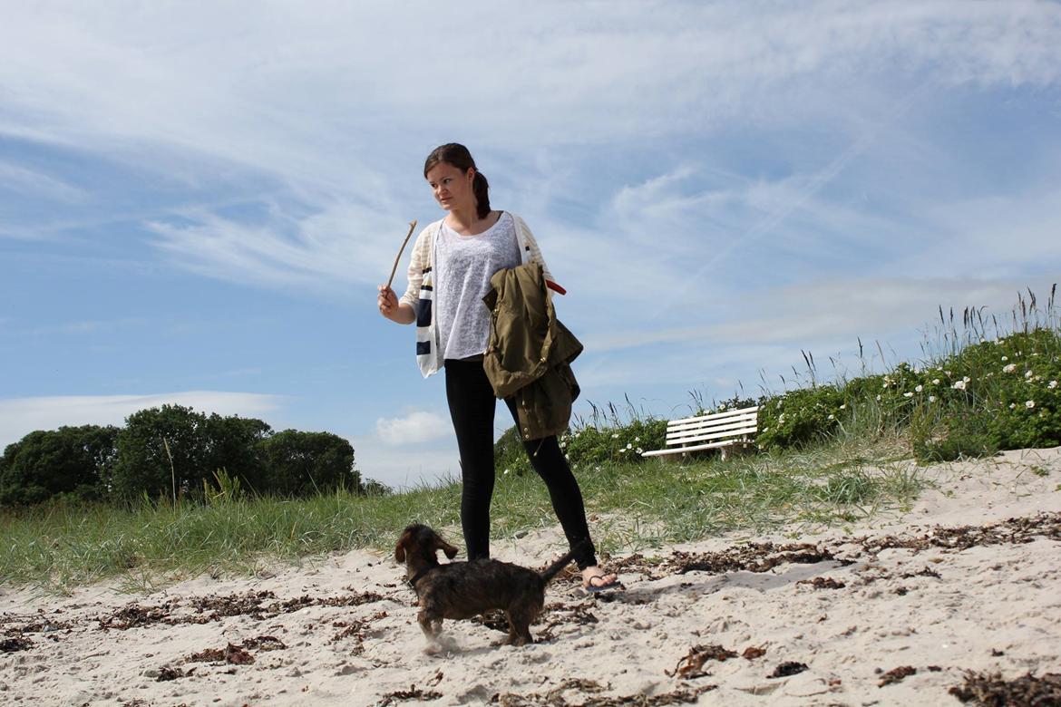 Gravhund Møffe billede 2