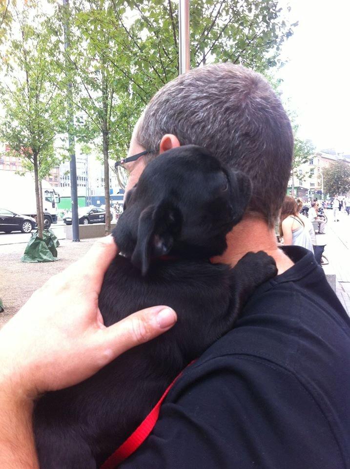 Mops Alpha Blue Anastacia (Kenya) billede 14