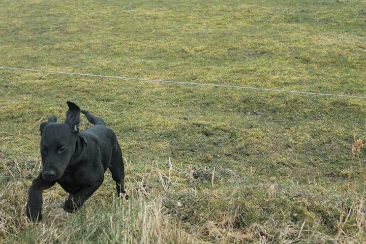 Blanding af racer Stella - Fuck, fuck, fuck.... FUCK!!! billede 6